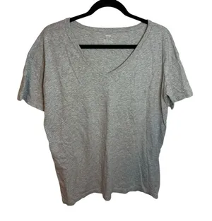 Aerie Classic Gray Cotton V-Neck Tee thumbnail 1