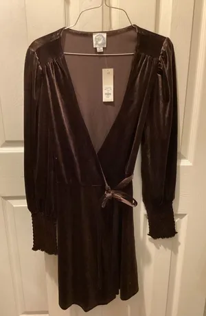 Francesca's Collections Brown Velvet Long Sleeve Wrap Dress thumbnail 1