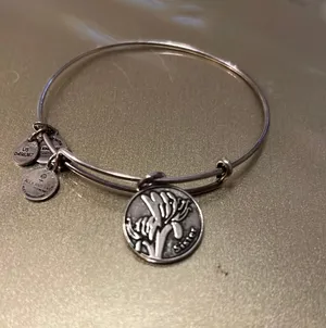 Alex and Ani Bracelet thumbnail 1