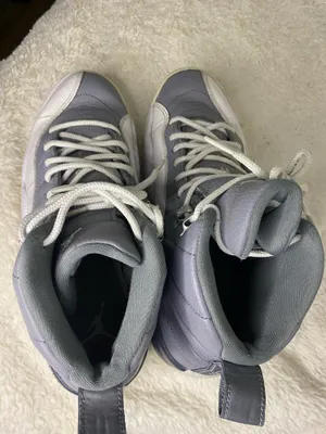 Nike Air Jordan 12 Shoes Mens Size 9.5 thumbnail 6