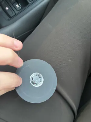 PopSockets PopGrip sardine  thumbnail 3