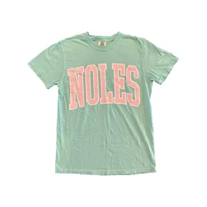 Comfort Colors NOLES Mint Green Pink Graphic Women’s Small FSU Seminoles Shirt thumbnail 3
