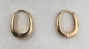 Small Oval Gold Hoop Earrings for Women thumbnail 1