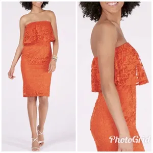 THALIA SODI Strapless Lace Cocktail Dress Medium Orange Midi Cocktail‎ Party New thumbnail 2