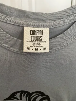 Comfort Colors Alabama T-Shirt thumbnail 2