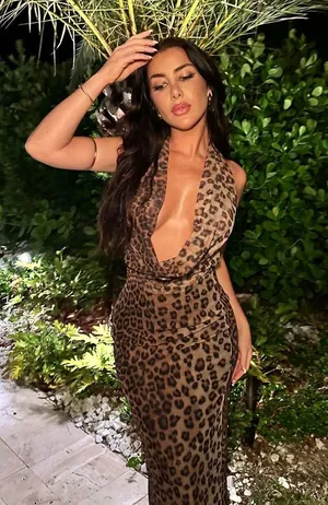 Zara Maxi plunge neck halter Dress Mesh Cheetah Animal print bodycon thumbnail 6