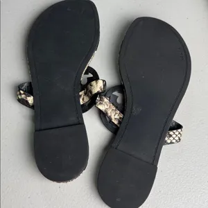 TORY BURCH Miller Snake Printed Leather Warm Roccia Thong Sandals Flats 6 1/2 thumbnail 4