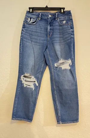 American Eagle Outfitters Mom straight jeans thumbnail 1