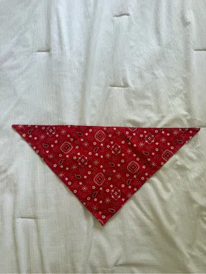 Reversible Bandana Triangle Scarf Accessories Tie Scarf Country Festival Western thumbnail 4