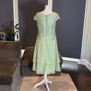 Women’s Green Chiffon & Lace Mid Length Dress with a Zip Up Back Size L NWOT thumbnail 4