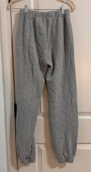 Brandy Melville Gray Cozy Fleece Joggers thumbnail 1