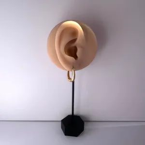 Small Oval Gold Hoop Earrings for Women thumbnail 5