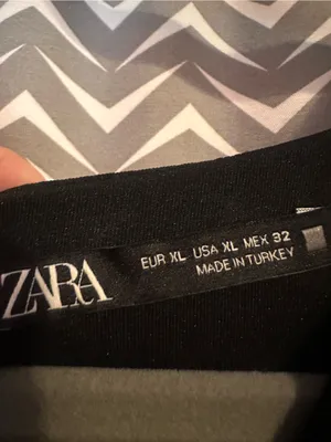 ZARA | Zara Annie Pleated Floral Chiffon Mini Dress, XL thumbnail 6