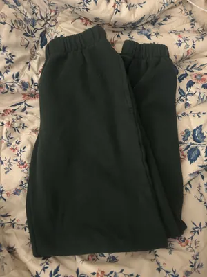 Brandy Melville Rosa Sweatpants Green Dark thumbnail 1
