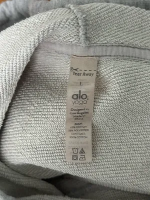 Alo Yoga Box Sweat Crop Hoodie in Gray thumbnail 5