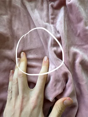 Hot Touch Velour Track Suit thumbnail 9