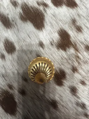 Gold pin & gold Snapple bit for Twillys Western style thumbnail 2