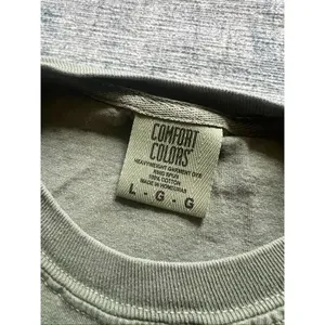 Comfort Colors Faded Green From The 1900s Novelty Tee Large thumbnail 4