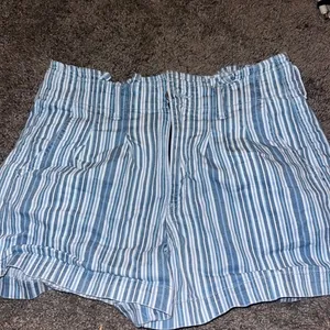 American Eagle shorts thumbnail 1
