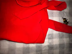 Sienna Sky. New with Tags Red and white plaid crop top. thumbnail 3