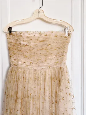 Joanna August • BHLDN Brenda Long Star Gown strapless champagne tulle glitter thumbnail 5