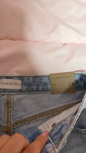 PacSun Shorts thumbnail 3