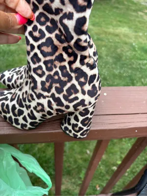 Steve Madden Leopard Print Ankle Booties thumbnail 5