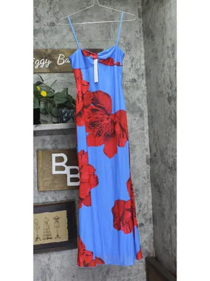 NWT Aqua Womens Floral Mesh Maxi Dress DI11619BL Blue / Red XS thumbnail 2
