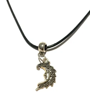 Moon charm Necklace Silver thumbnail 1