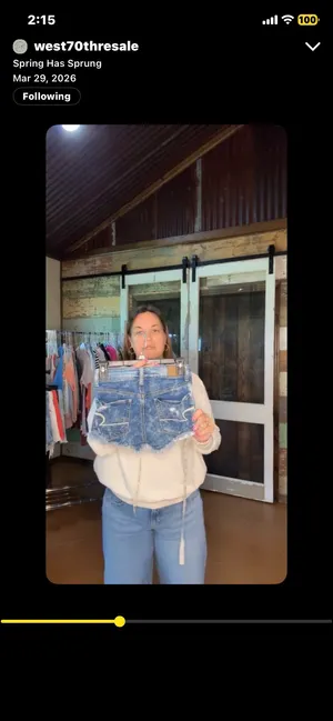 American Eagle Shorts thumbnail 2