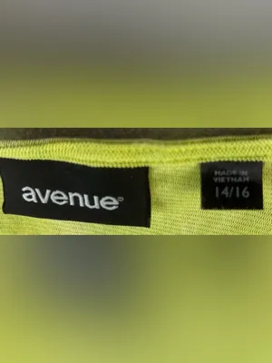 Avenue 14/16 Fine Mesh Nylon Neon Lime Short Sleeve Square Neck Blouse Top thumbnail 8