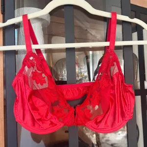 Vintage Dior silk lace bra wiring sheer mesh floral red sexy claspfront lingerie thumbnail 1