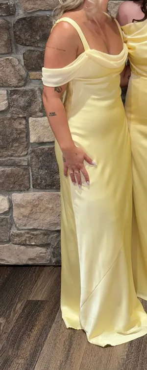 Bridesmaids/ Wedding Guest Dress thumbnail 2