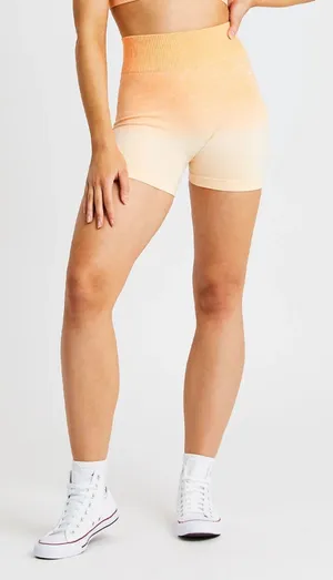 AYBL Pulse Ombré Seamless Shorts thumbnail 1