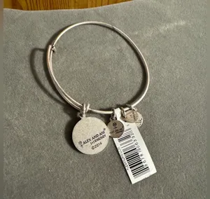 Alex and Ani Friend Silver Tone Bracelet thumbnail 3