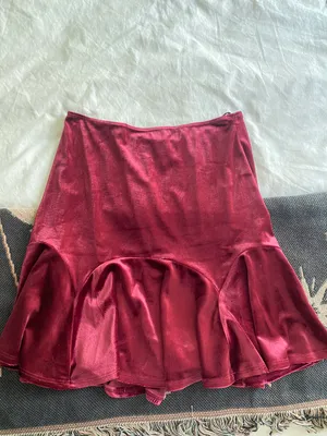 Francesca's Velvet Skirt thumbnail 1