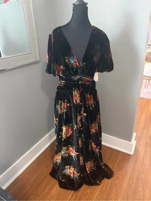 NWT Anthropologie Katerina Button Front Velvet Floral Whimsygoth Maxi Dress Med thumbnail 2