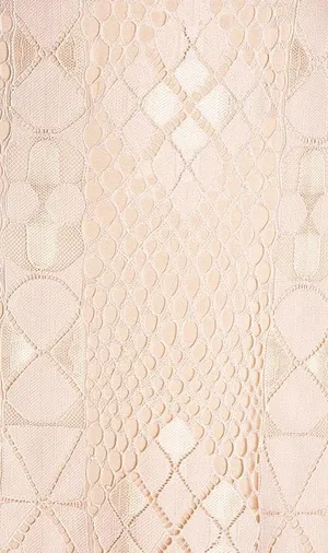 Free People Blush Lace Mini Dress thumbnail 4