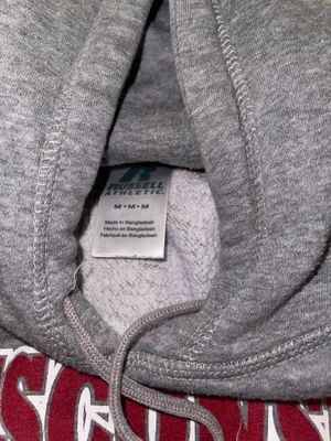 Wisconsin badger sweatshirt Gray Size M thumbnail 2