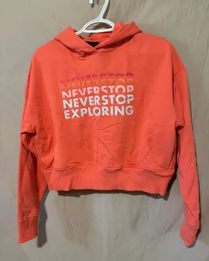 North face sweatshirt thumbnail 1