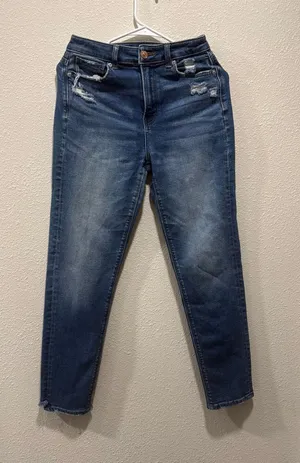 Mom Jeans American Eagle thumbnail 1
