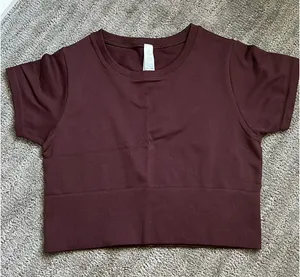 OFFLINE by Aerie Sidewalk Seamless Cropped T-Shirt Maroon thumbnail 1