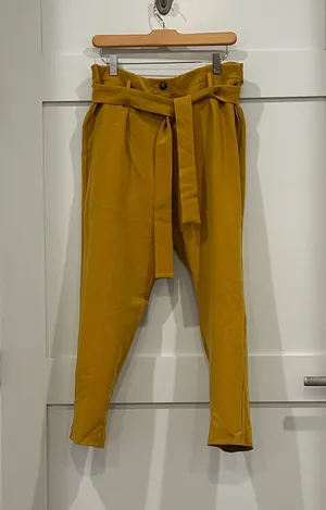 Dress Pants thumbnail 1