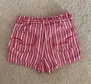American Eagle Stripped Flowy Shorts thumbnail 4