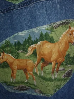 Levis Signature Jeans L Horse Equestrian Scenery Western Shirt Denim Top thumbnail 4