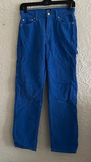 Urban Outfitters BDG Bold Blue Slim Straight Utility Carpenter Cargo Pants 25 thumbnail 1