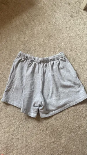 Aerie Grey Shorts thumbnail 3
