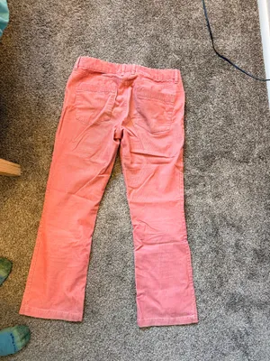 J.Crew Corduroy Pants pink 8s thumbnail 5