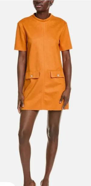 Zara Mini Shift Dress in Burnt Orange thumbnail 1