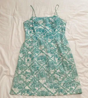Lilly Pulitzer Blue and White Printed Dress thumbnail 1